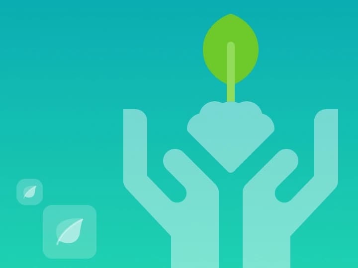 Why Are Carbon Credit Registries Entering Blockchain?