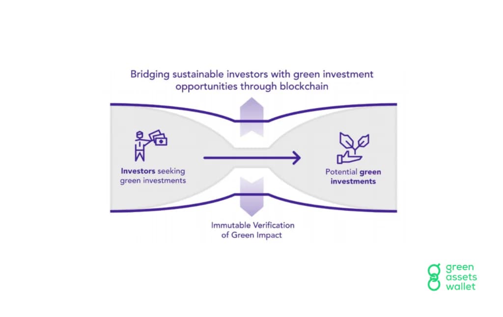 green asset wallet