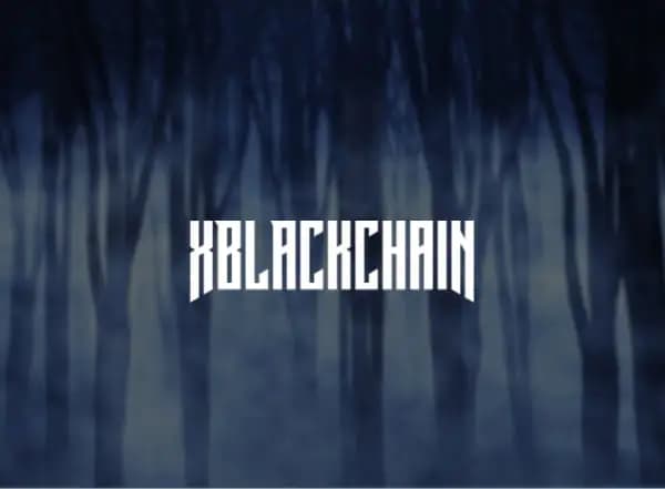 BLACKCHAIN 4IRE Case