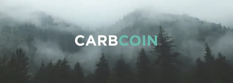 CarbCoin: One-of-a-Kind Example of a Carbon Credit Marketplace