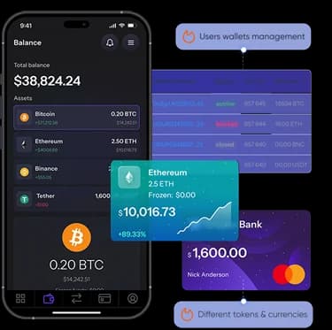 Custodial Wallet interface